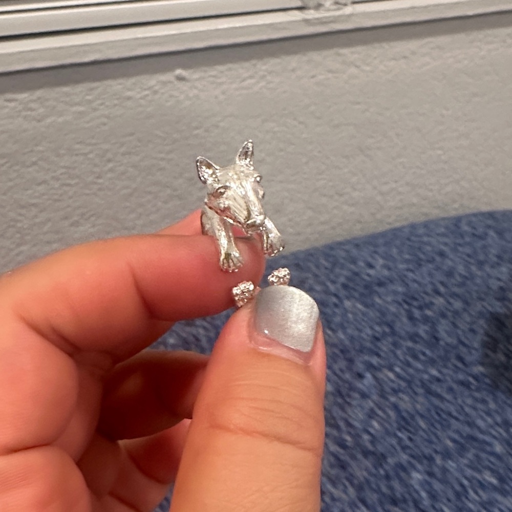 Bright Silver bull terrier Dog Ring